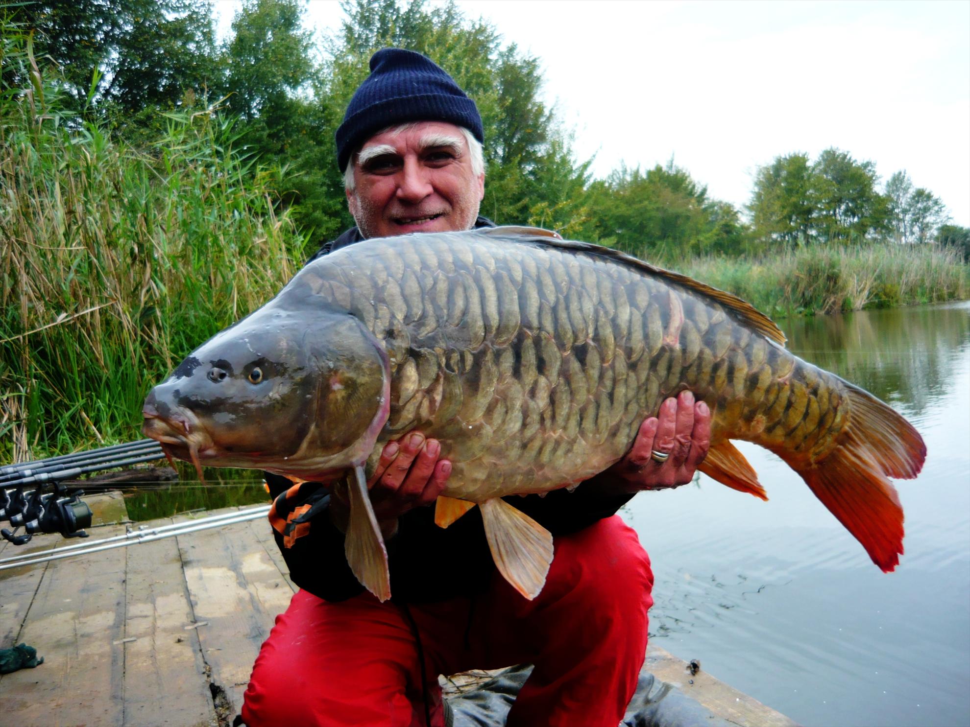 Best-2010 - p1020693compressor.jpg